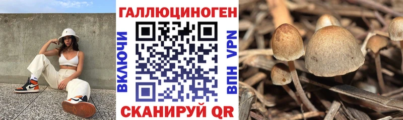Псилоцибиновые грибы MAGIC MUSHROOMS Сергач