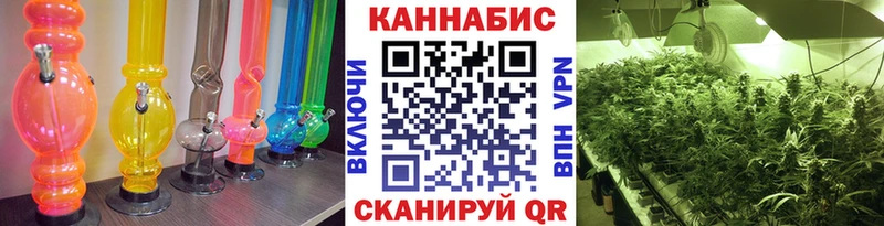 Бошки Шишки сатива  KRAKEN   Сергач  хочу  